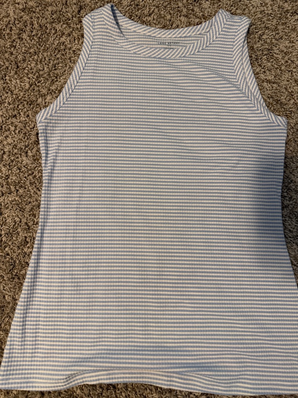 Lane Bryant Blue and White Striped Ribbed Tank